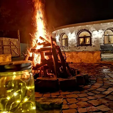 Satul Cu Flori Guest house Buzau