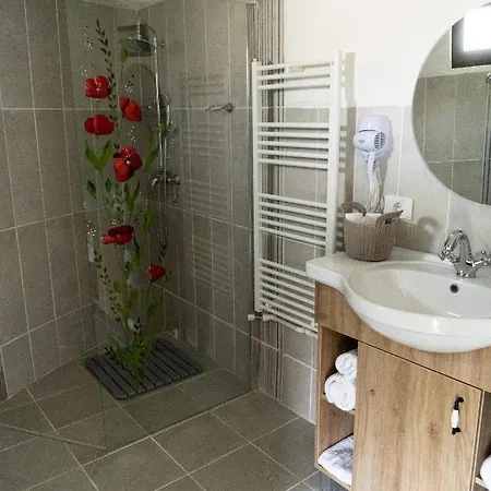 Guest house Satul Cu Flori *